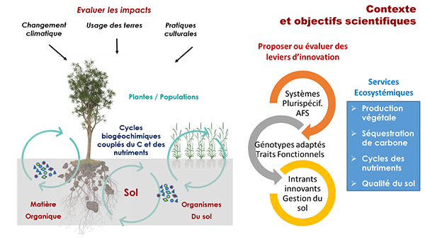 presentation ecosols