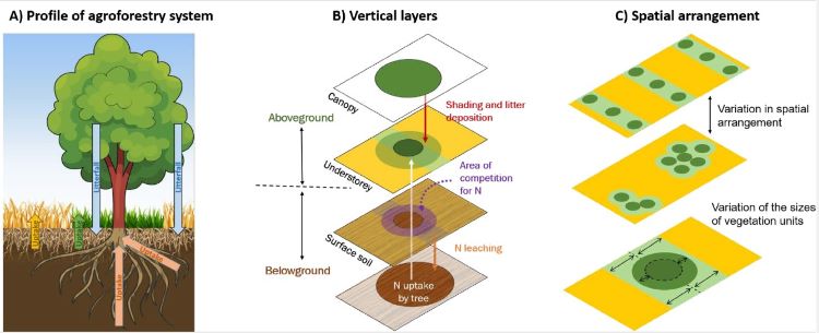 MetAgroforestry illustration light