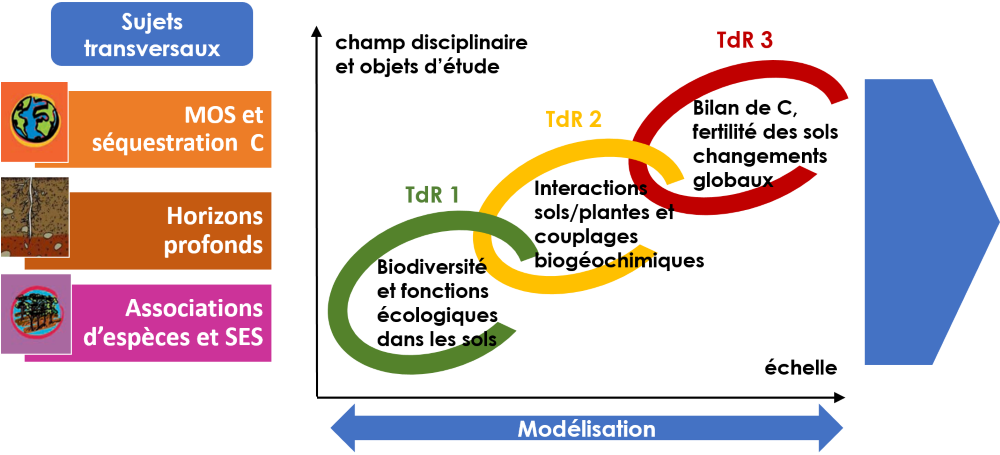 Schema structuration Sc UMR light